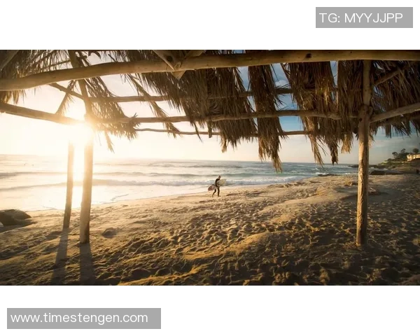 成都极限运动队进攻表现分析与得失总结探讨