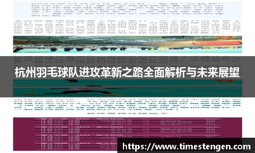 杭州羽毛球队进攻革新之路全面解析与未来展望